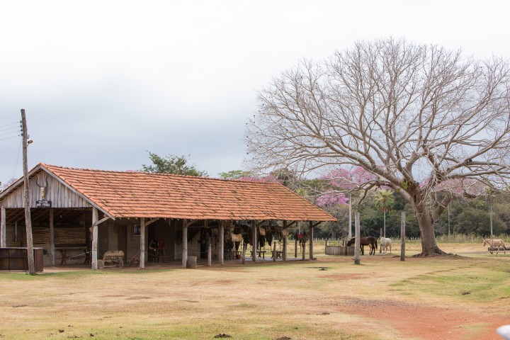 Pantanal - Photo by Pantanal